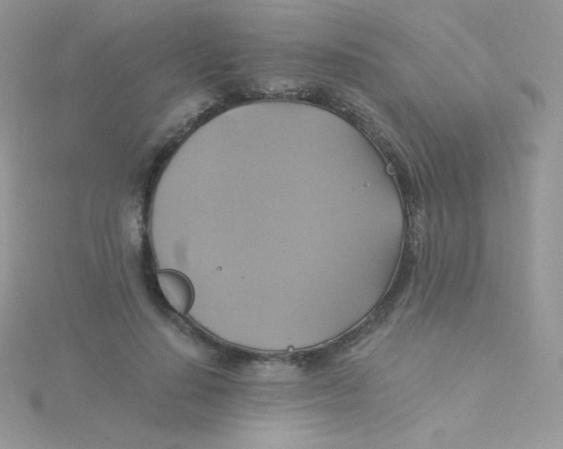 X0000115330644200911231413