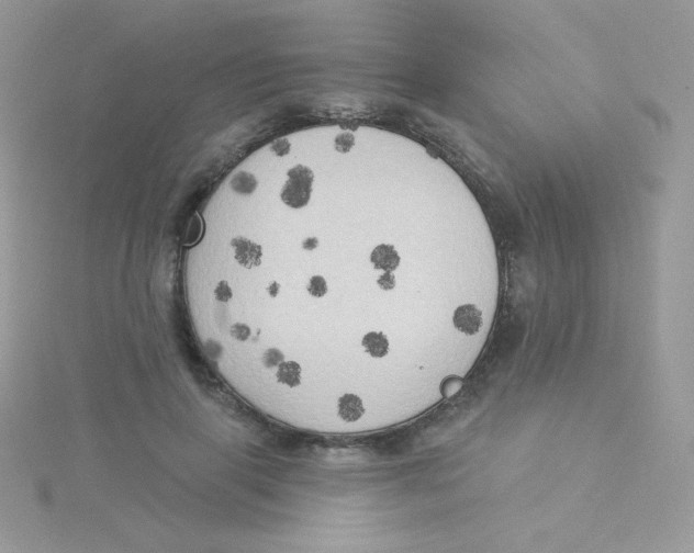 X0000115330645200911231413