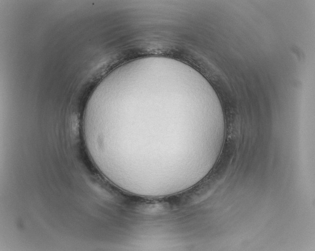 X0000115330646200911231413