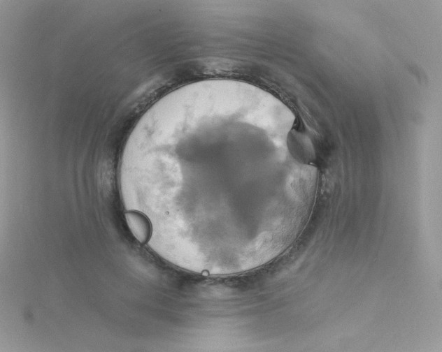 X0000115330648200911231413