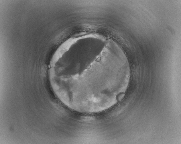 X0000115330649200911231413