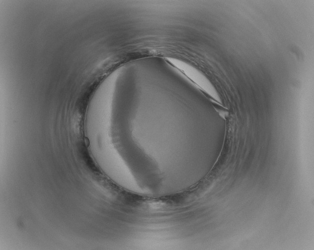 X0000115330650200911231413