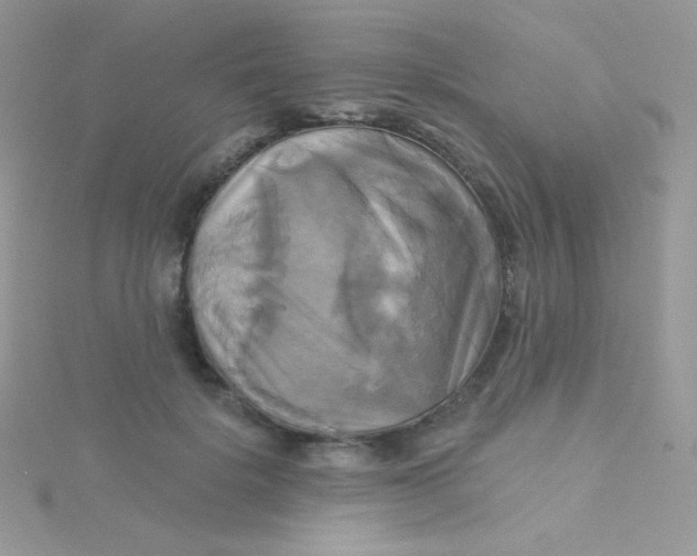 X0000115330652200911231413