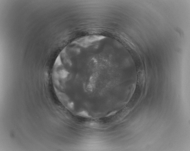 X0000115330655200911231413