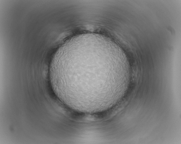 X0000115330656200911231413