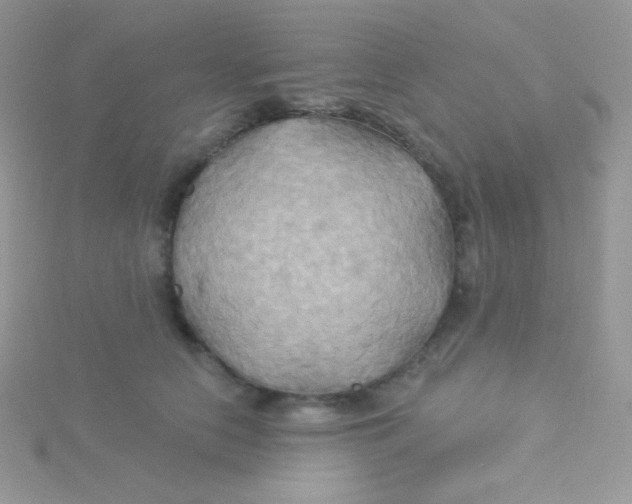 X0000115330658200911231413