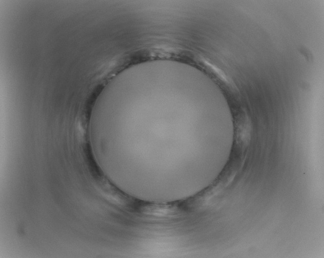 X0000115330661200911231413