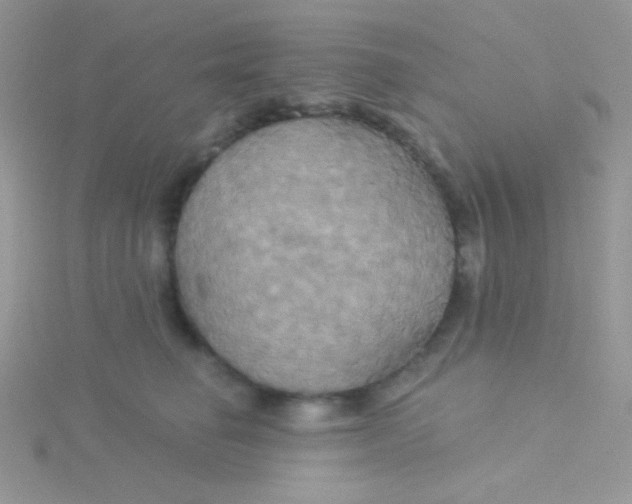 X0000115330662200911231413