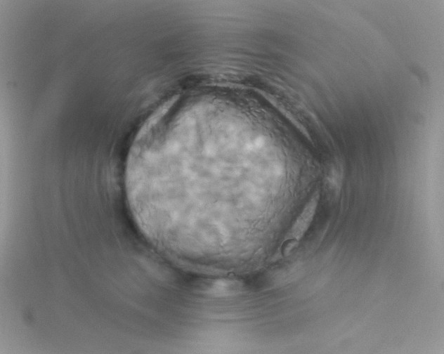 X0000115330663200911231413