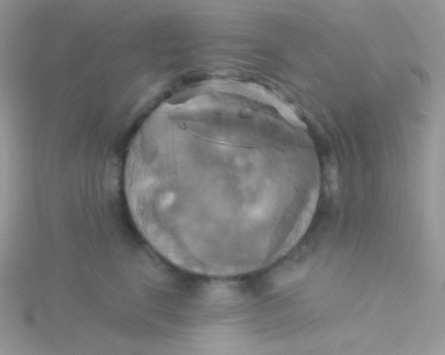 X0000115330664200911231413