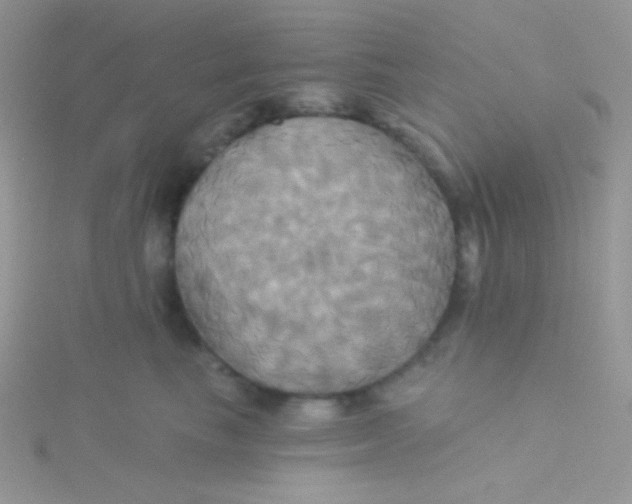 X0000115330665200911231413