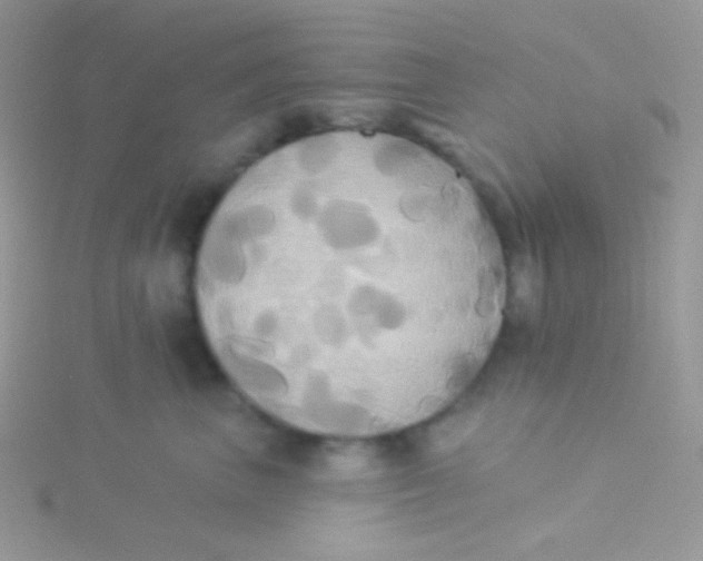 X0000115330667200911231413