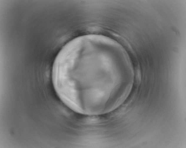 X0000115330668200911231413