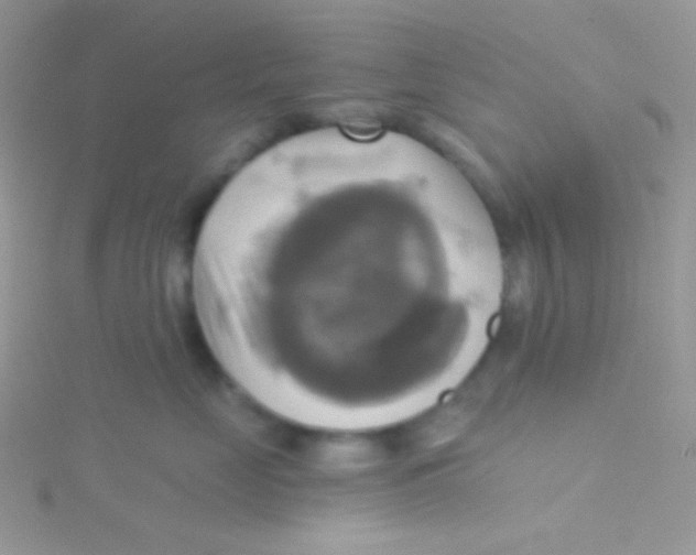 X0000115330669200911231413