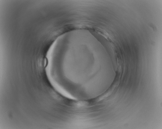 X0000115330670200911231413