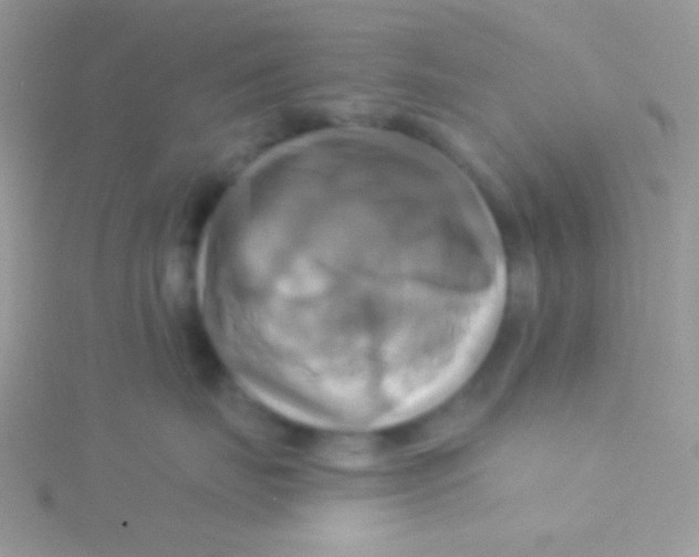 X0000115330671200911231413