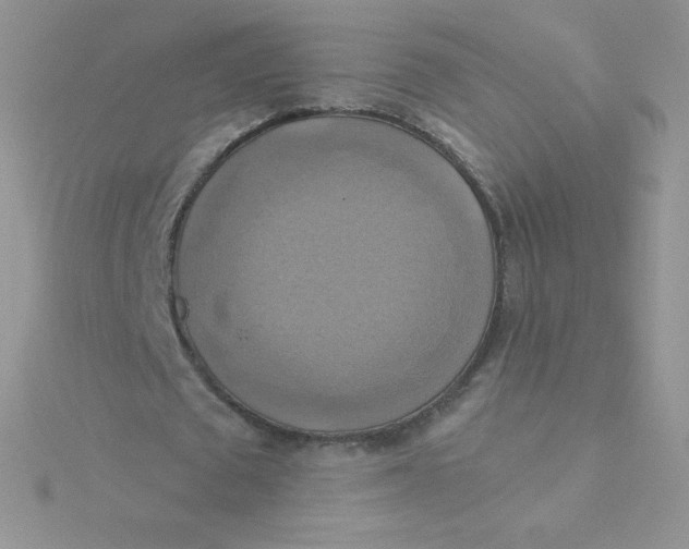 X0000115330673200911231412