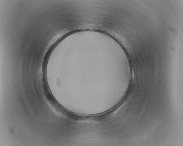 X0000115330674200911231412