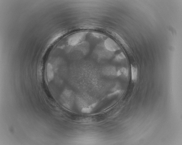 X0000115330675200911231412