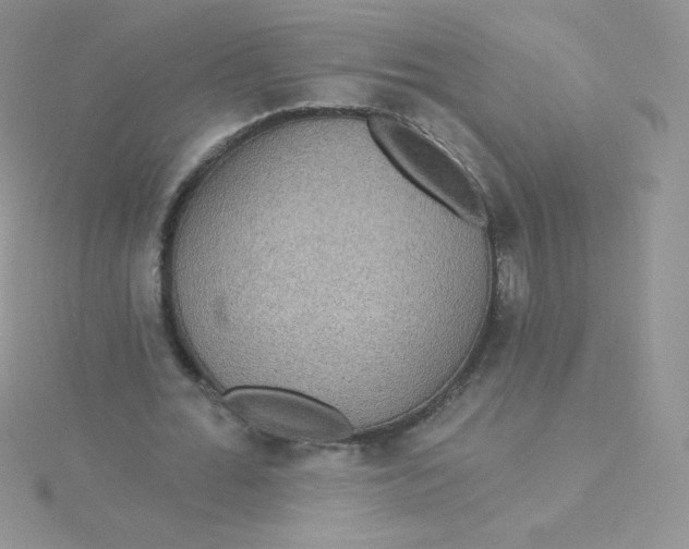 X0000115330676200911231412