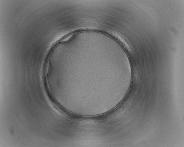 X0000115330677200911231412