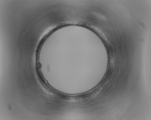 X0000115330678200911231412