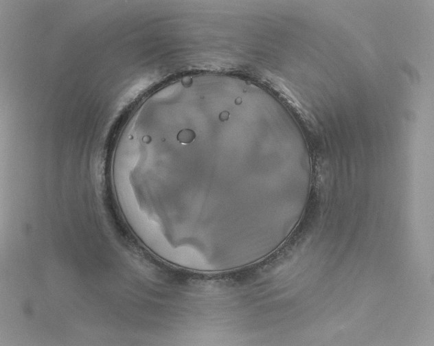 X0000115330679200911231412