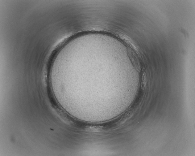 X0000115330680200911231412