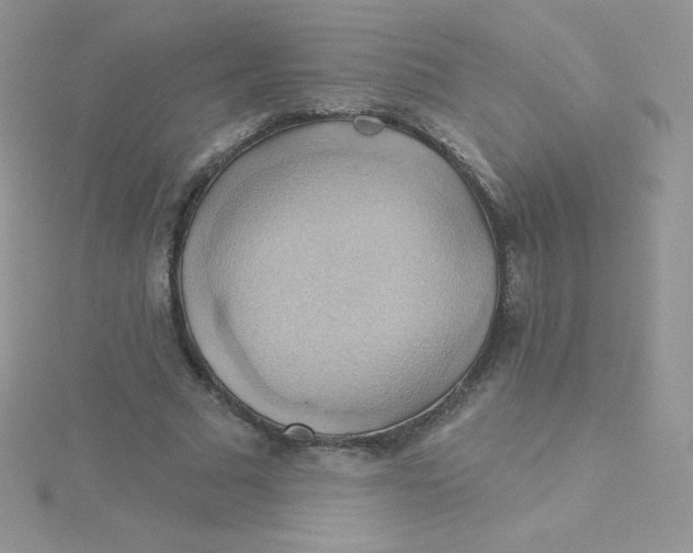 X0000115330681200911231412