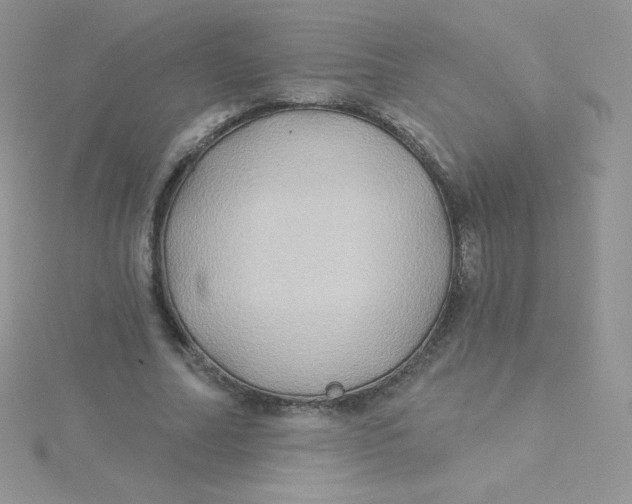 X0000115330682200911231412