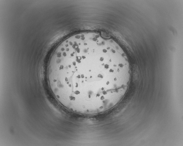 X0000115330683200911231412