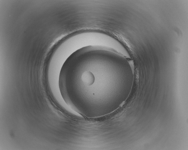 X0000115330684200911231412