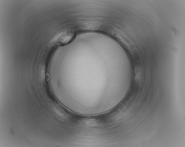 X0000115330685200911231412