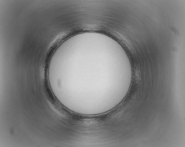 X0000115330686200911231412