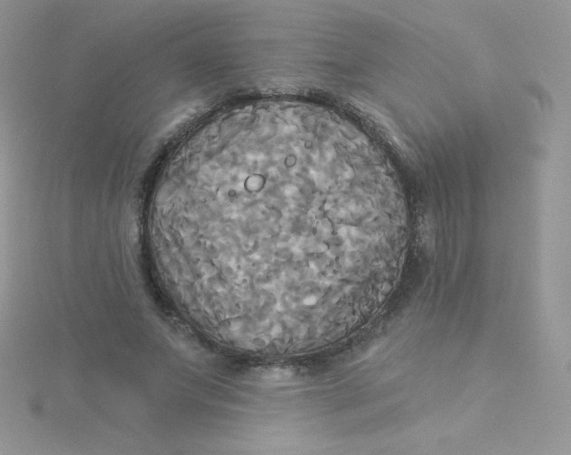 X0000115330687200911231412