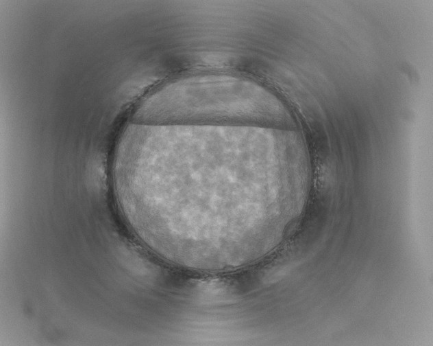 X0000115330688200911231412