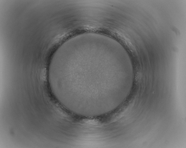 X0000115330689200911231412