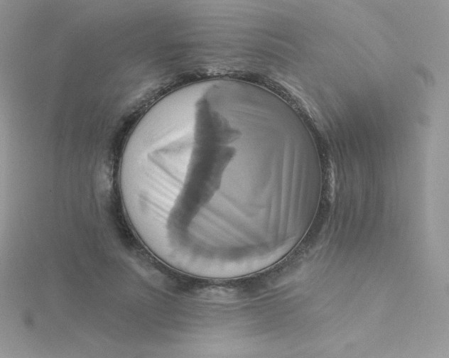 X0000115330691200911231412