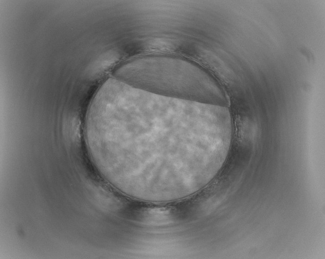 X0000115330692200911231412