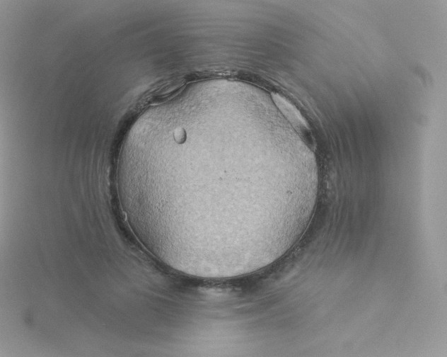 X0000115330693200911231412