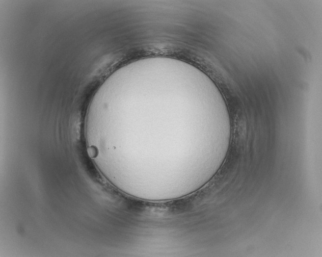 X0000115330694200911231412