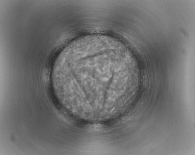 X0000115330695200911231412