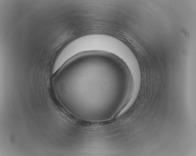 X0000115330696200911231412