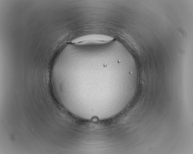 X0000115330697200911231412