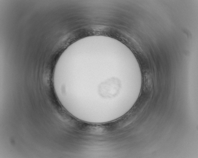 X0000115330698200911231412