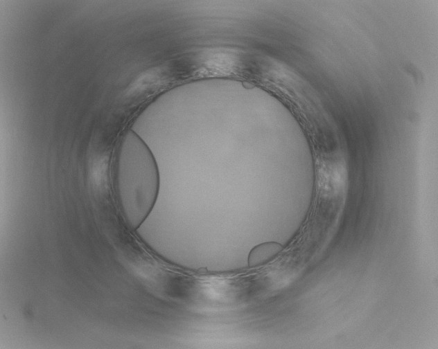 X0000115330701200911231412