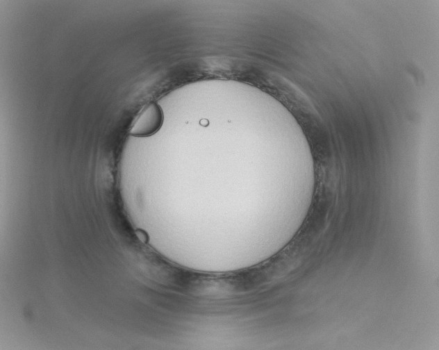 X0000115330702200911231412