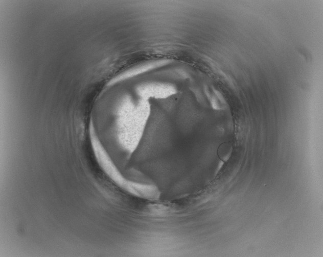 X0000115330703200911231412