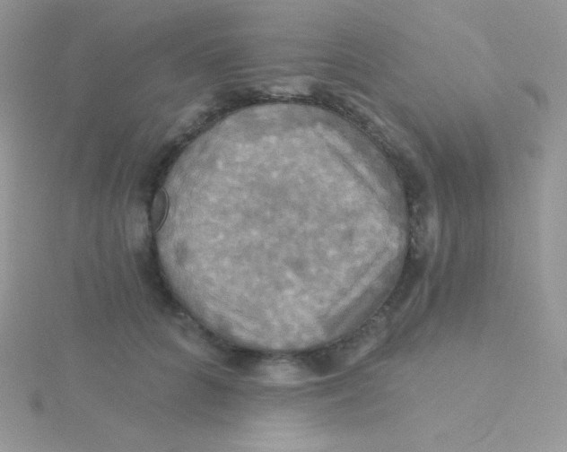 X0000115330704200911231412