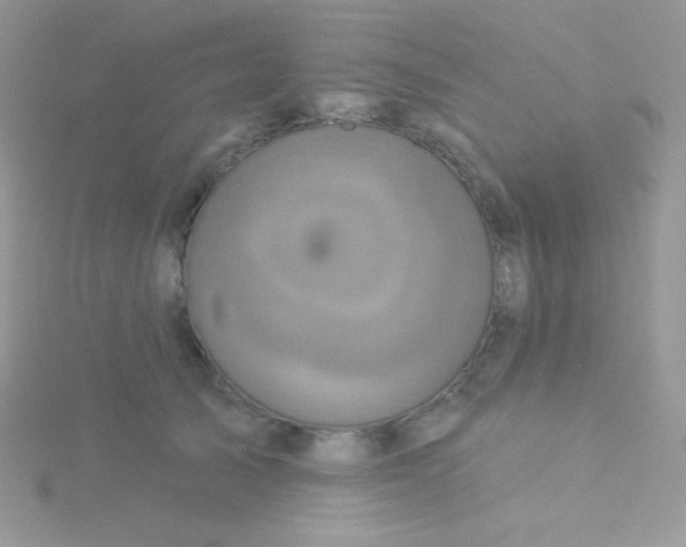 X0000115330705200911231412